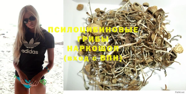 прущие крисы Аркадак